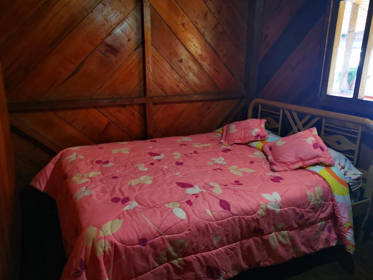 La Tranquilidad Hostel Mindo Εξωτερικό φωτογραφία